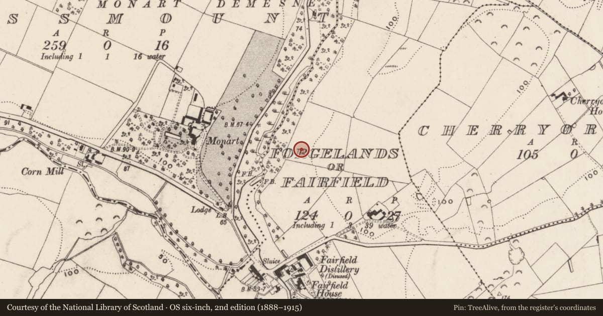 Ordnance Survey six-inch map, 2nd edition (1888–1915) covering the location of Enclosure, Forgeland Or Fairfield, County Wexford, with a pin at the register's coordinates