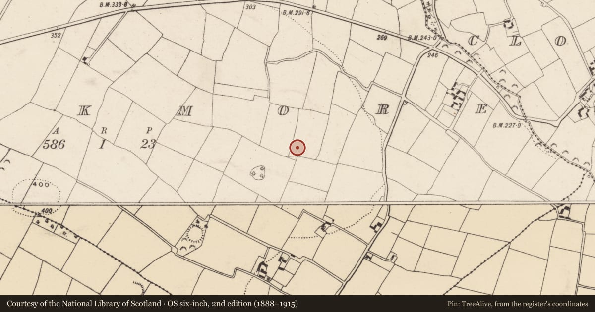 Ordnance Survey six-inch map, 2nd edition (1888–1915) covering the location of Ringfort - rath, Knockmore, County Wexford, with a pin at the register's coordinates