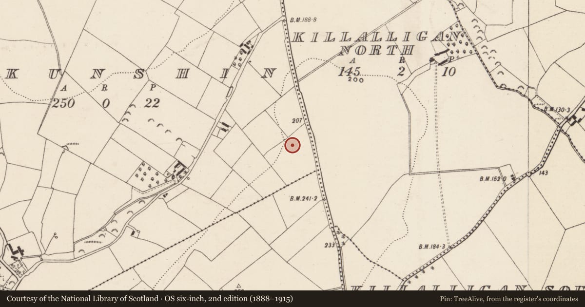 Ordnance Survey six-inch map, 2nd edition (1888–1915) covering the location of Excavation - miscellaneous, Askunshin, County Wexford, with a pin at the register's coordinates