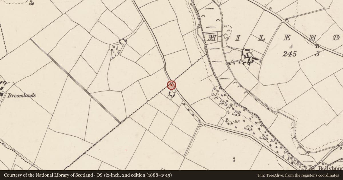 Ordnance Survey six-inch map, 2nd edition (1888–1915) covering the location of Hearth, Bessmount, County Wexford, with a pin at the register's coordinates
