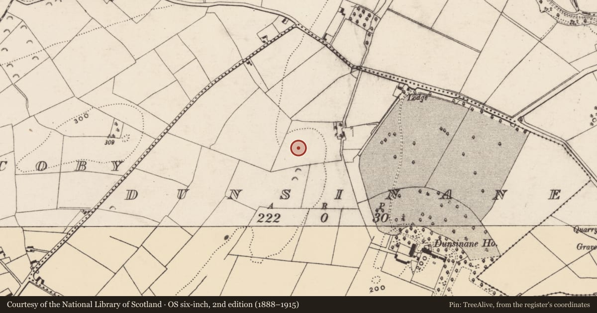 Ordnance Survey six-inch map, 2nd edition (1888–1915) covering the location of Excavation - miscellaneous, Dunsinane, County Wexford, with a pin at the register's coordinates