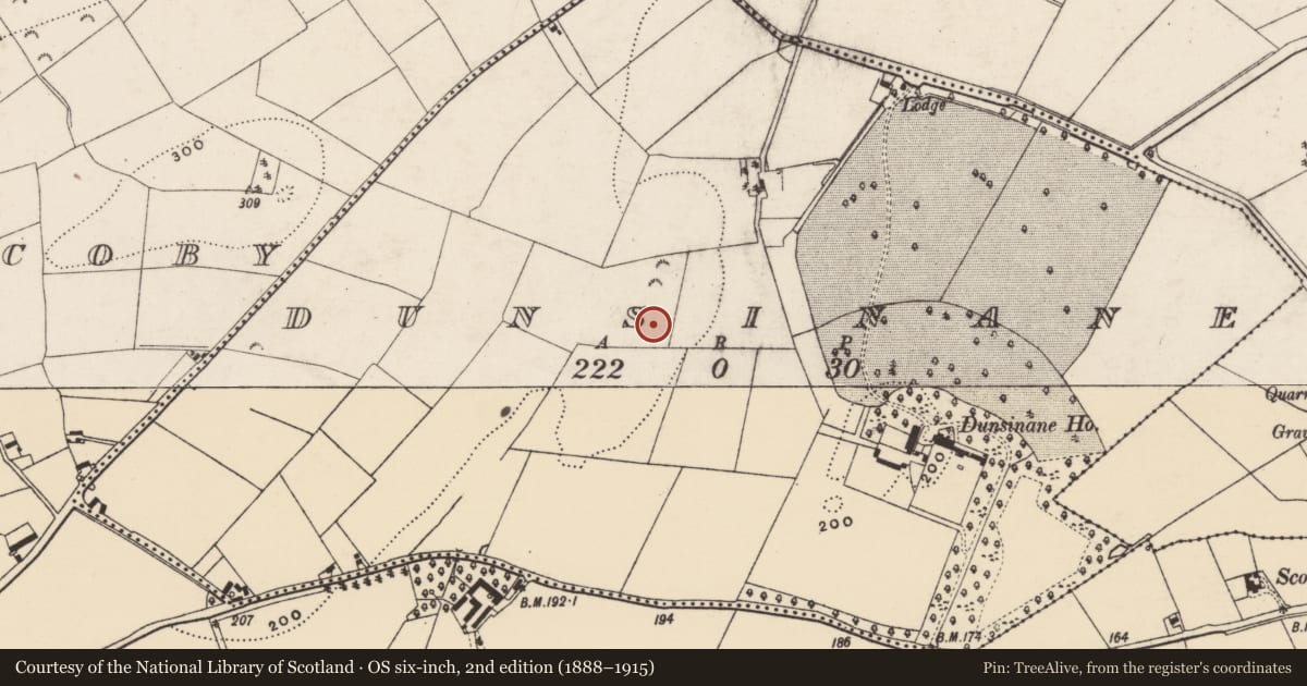 Ordnance Survey six-inch map, 2nd edition (1888–1915) covering the location of House - Neolithic, Dunsinane, County Wexford, with a pin at the register's coordinates