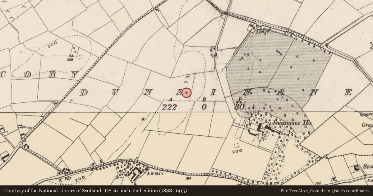Ordnance Survey six-inch map, 2nd edition (1888–1915) covering the location of House - Neolithic, Dunsinane, County Wexford, with a pin at the register's coordinates