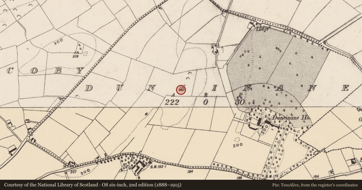 Ordnance Survey six-inch map, 2nd edition (1888–1915) covering the location of Metalworking site, Dunsinane, County Wexford, with a pin at the register's coordinates