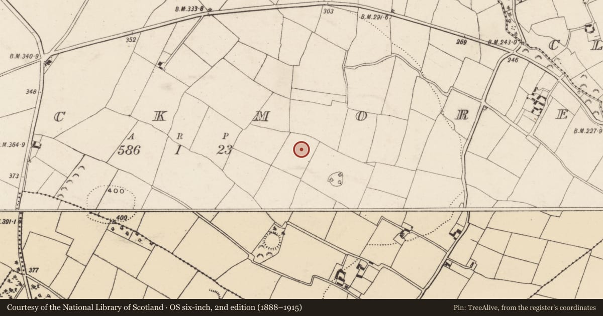 Ordnance Survey six-inch map, 2nd edition (1888–1915) covering the location of Enclosure, Knockmore, County Wexford, with a pin at the register's coordinates