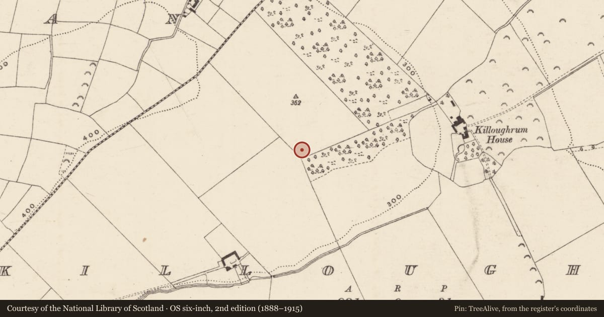 Ordnance Survey six-inch map, 2nd edition (1888–1915) covering the location of Road - road/trackway, Killoughrum, Mangan, County Wexford, with a pin at the register's coordinates