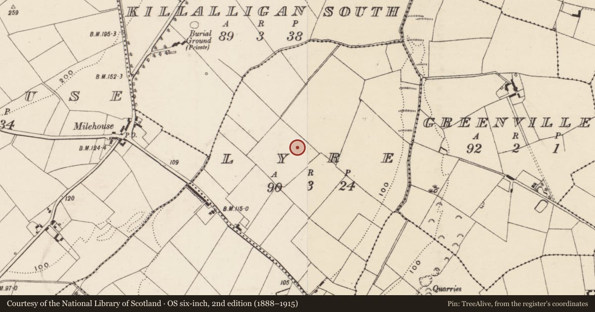Ordnance Survey six-inch map, 2nd edition (1888–1915) covering the location of Enclosure, Lyre, County Wexford, with a pin at the register's coordinates