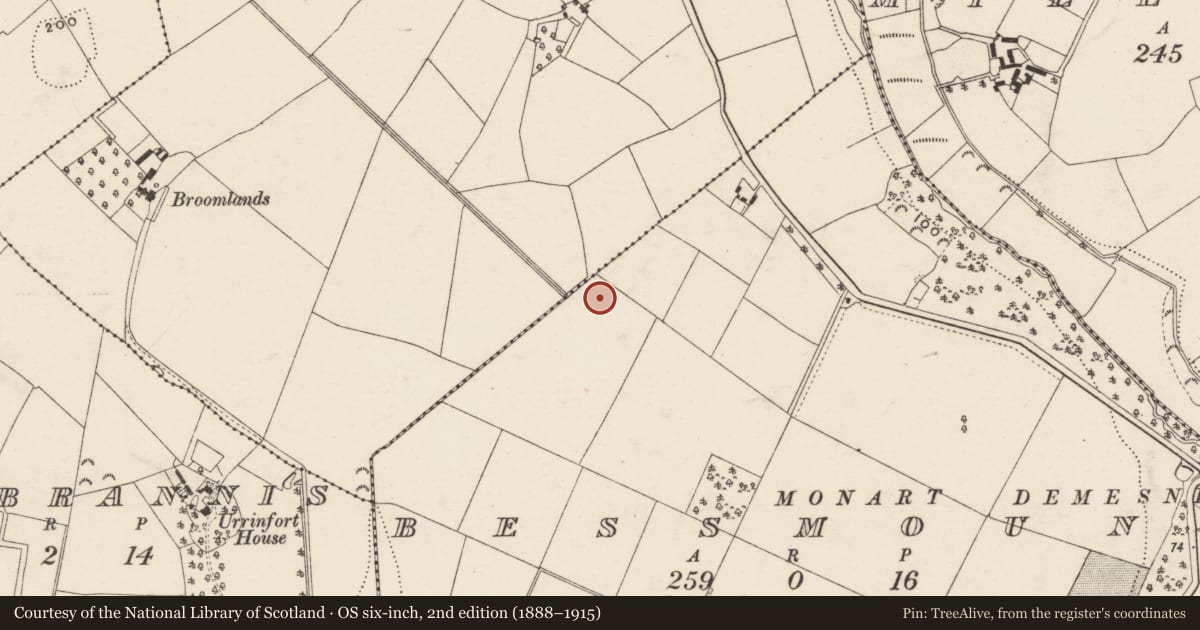 Ordnance Survey six-inch map, 2nd edition (1888–1915) covering the location of Pit, Bessmount, County Wexford, with a pin at the register's coordinates
