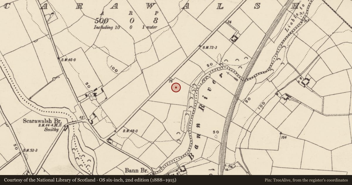 Ordnance Survey six-inch map, 2nd edition (1888–1915) covering the location of Pit-burial, Scarawalsh, County Wexford, with a pin at the register's coordinates