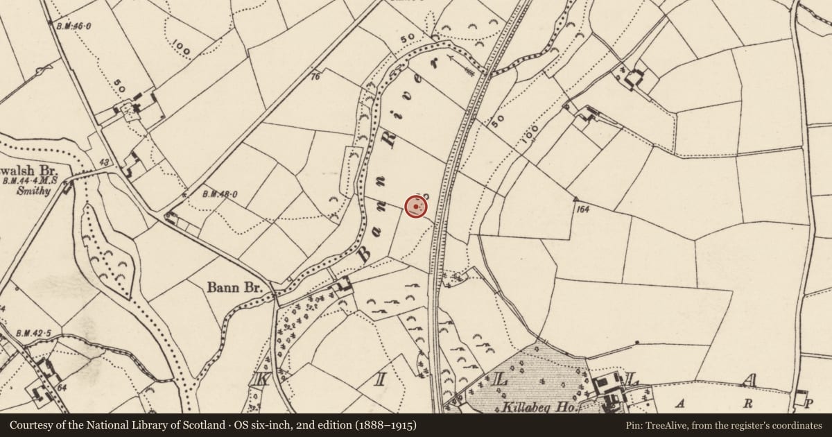 Ordnance Survey six-inch map, 2nd edition (1888–1915) covering the location of Standing stone, Killabeg, County Wexford, with a pin at the register's coordinates