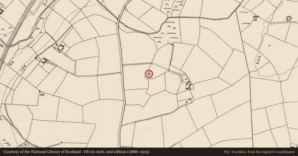Ordnance Survey six-inch map, 2nd edition (1888–1915) covering the location of Moated site, Killabeg, County Wexford, with a pin at the register's coordinates
