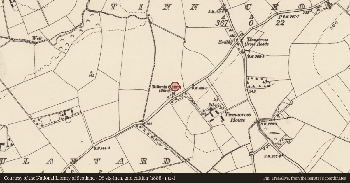 Ordnance Survey six-inch map, 2nd edition (1888–1915) covering the location of Ecclesiastical enclosure, Tinnacross, County Wexford, with a pin at the register's coordinates