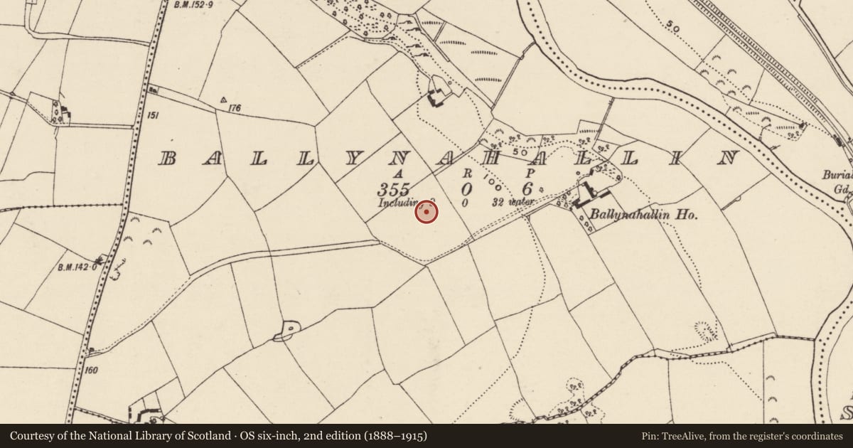 Ordnance Survey six-inch map, 2nd edition (1888–1915) covering the location of Ring-ditch, Ballynahallin, County Wexford, with a pin at the register's coordinates