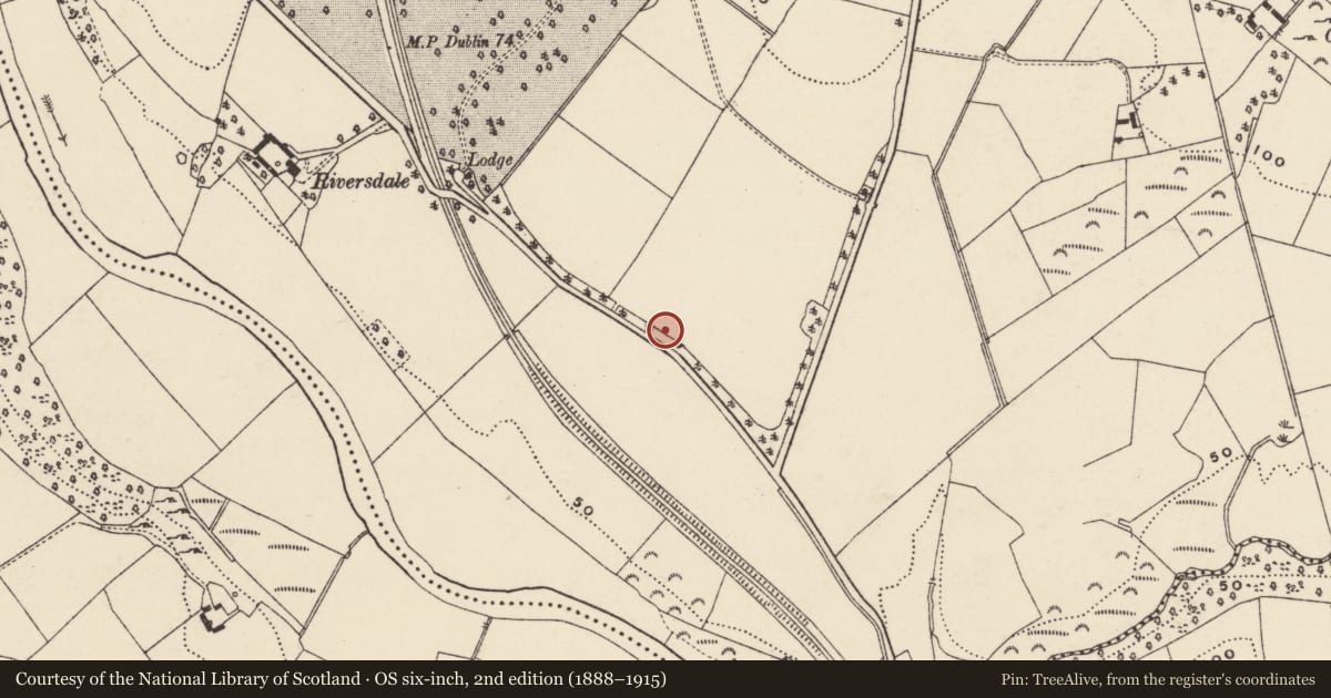 Ordnance Survey six-inch map, 2nd edition (1888–1915) covering the location of Ring-ditch, Killabeg, County Wexford, with a pin at the register's coordinates