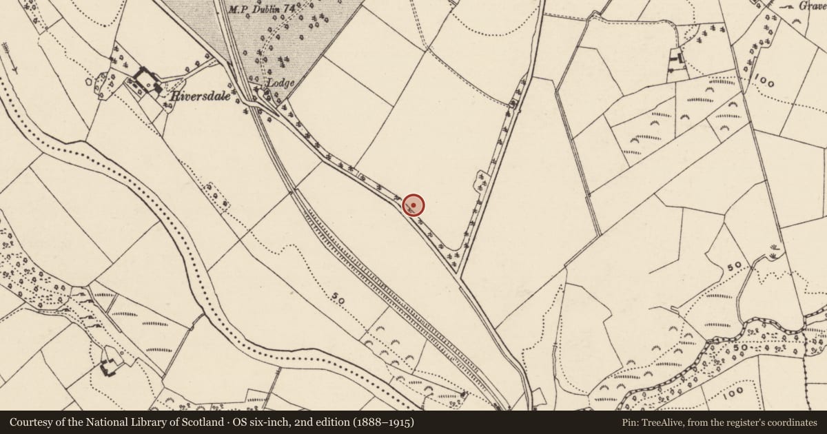 Ordnance Survey six-inch map, 2nd edition (1888–1915) covering the location of Ring-ditch, Killabeg, County Wexford, with a pin at the register's coordinates