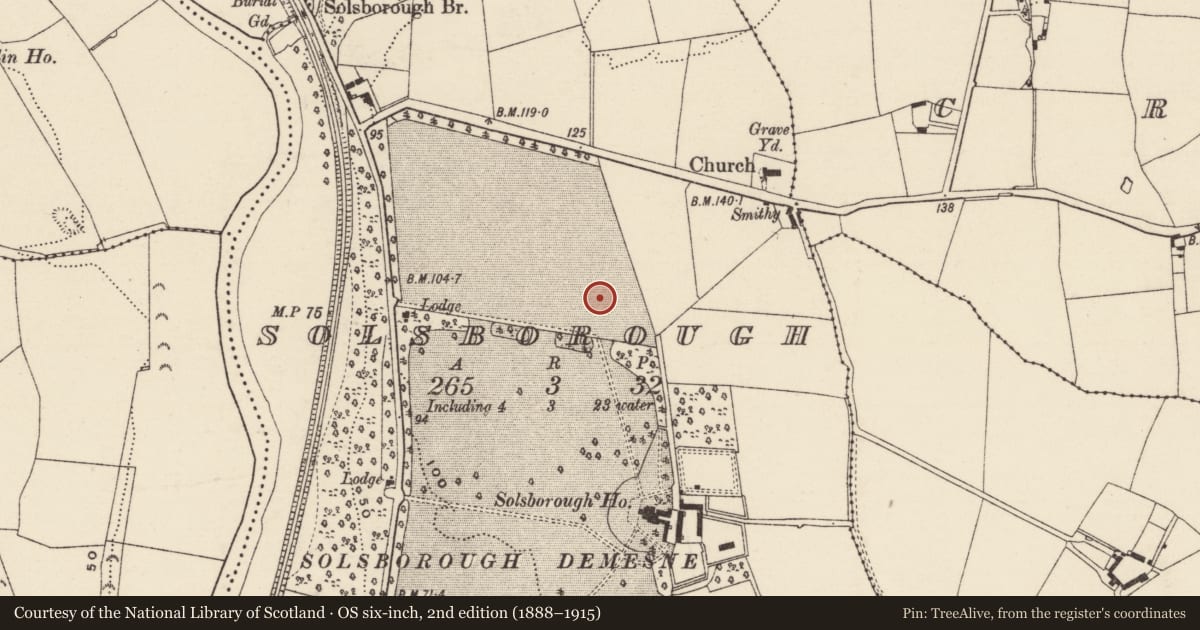 Ordnance Survey six-inch map, 2nd edition (1888–1915) covering the location of Enclosure, Solsborough, County Wexford, with a pin at the register's coordinates