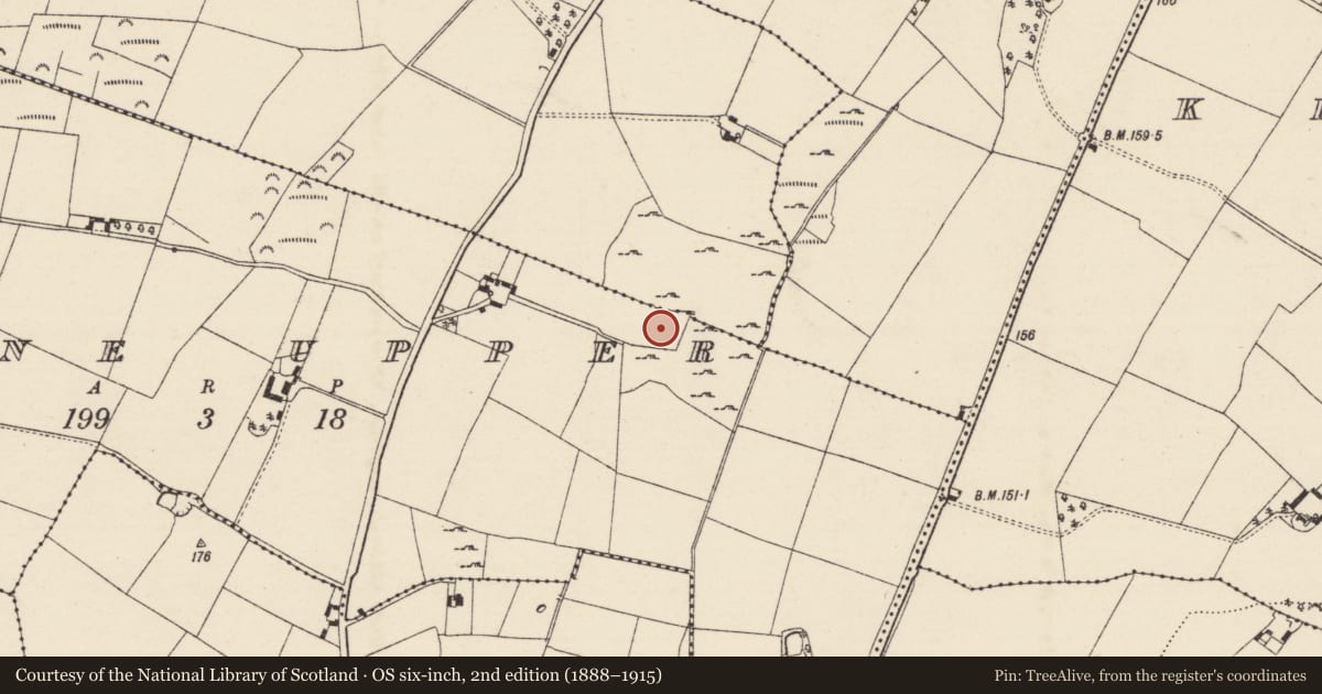 Ordnance Survey six-inch map, 2nd edition (1888–1915) covering the location of Moated site, Moyne Upper, County Wexford, with a pin at the register's coordinates