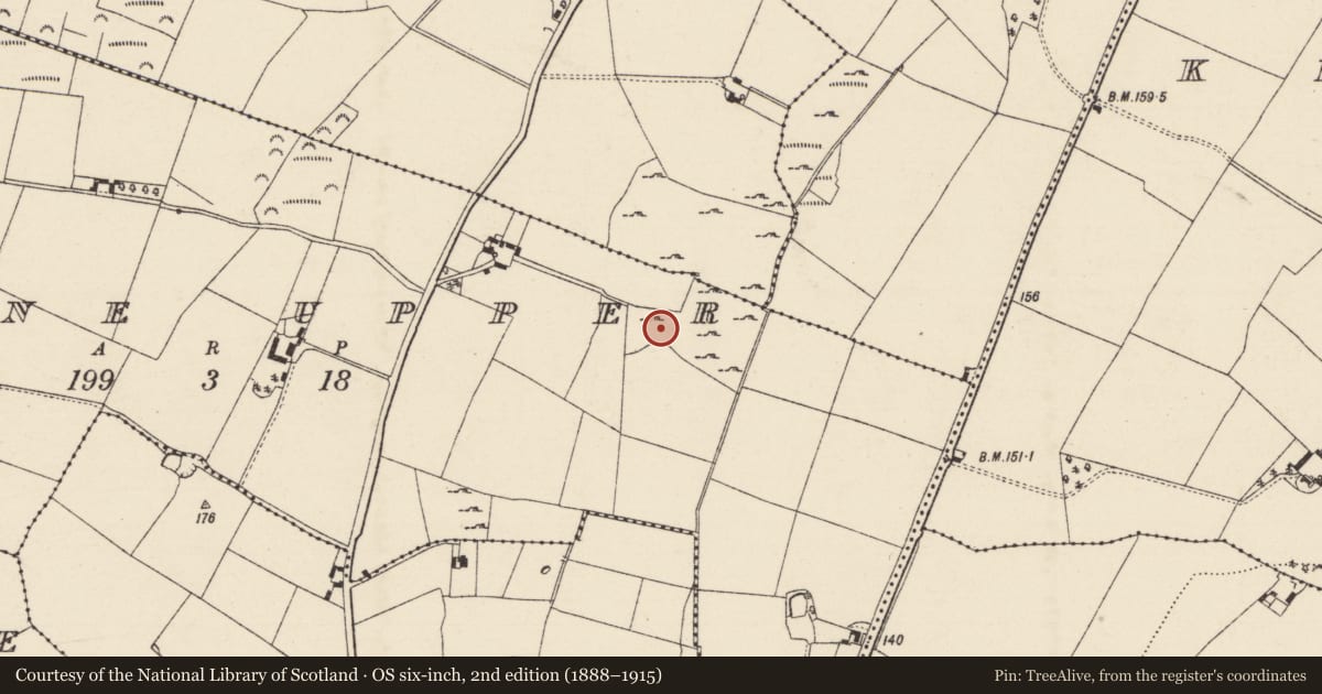 Ordnance Survey six-inch map, 2nd edition (1888–1915) covering the location of Ringfort - rath, Moyne Upper, County Wexford, with a pin at the register's coordinates
