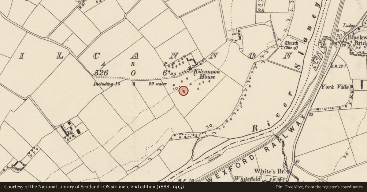Ordnance Survey six-inch map, 2nd edition (1888–1915) covering the location of Field boundary, Kilcannon, County Wexford, with a pin at the register's coordinates