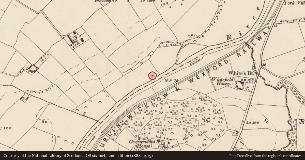 Ordnance Survey six-inch map, 2nd edition (1888–1915) covering the location of Concentric enclosure, Kilcannon, County Wexford, with a pin at the register's coordinates
