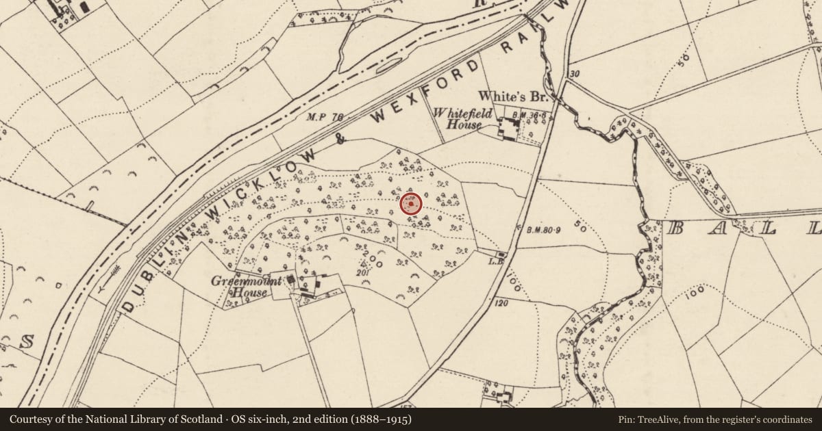 Ordnance Survey six-inch map, 2nd edition (1888–1915) covering the location of Standing stone, Clonhasten, County Wexford, with a pin at the register's coordinates