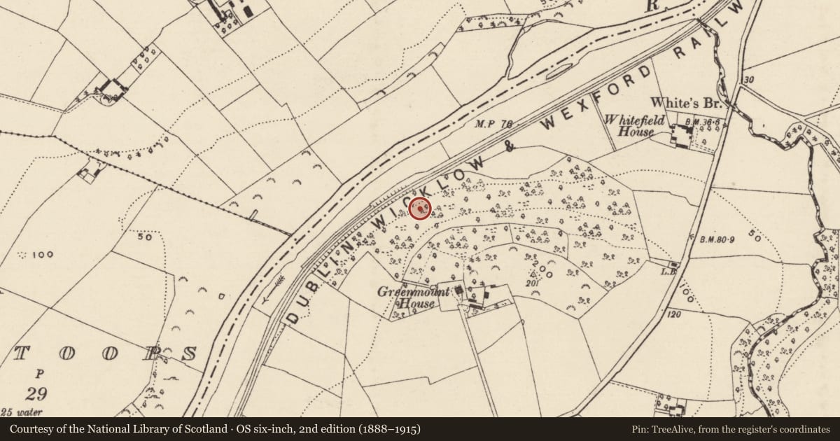 Ordnance Survey six-inch map, 2nd edition (1888–1915) covering the location of Enclosure, Clonhasten, County Wexford, with a pin at the register's coordinates