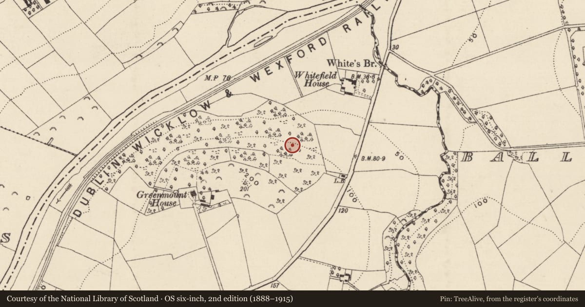 Ordnance Survey six-inch map, 2nd edition (1888–1915) covering the location of Enclosure, Clonhasten, County Wexford, with a pin at the register's coordinates