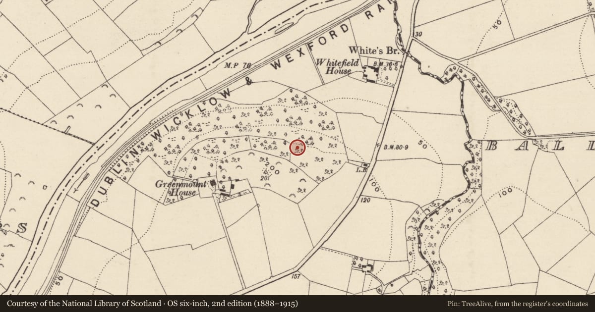 Ordnance Survey six-inch map, 2nd edition (1888–1915) covering the location of Enclosure, Clonhasten, County Wexford, with a pin at the register's coordinates