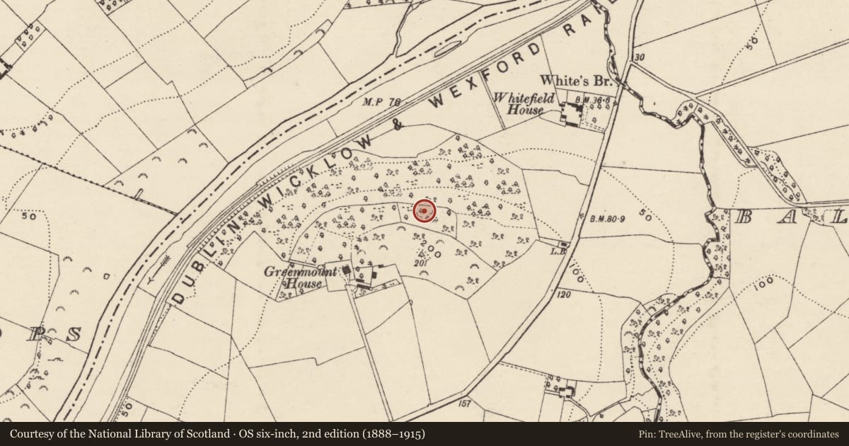 Ordnance Survey six-inch map, 2nd edition (1888–1915) covering the location of Enclosure, Clonhasten, County Wexford, with a pin at the register's coordinates