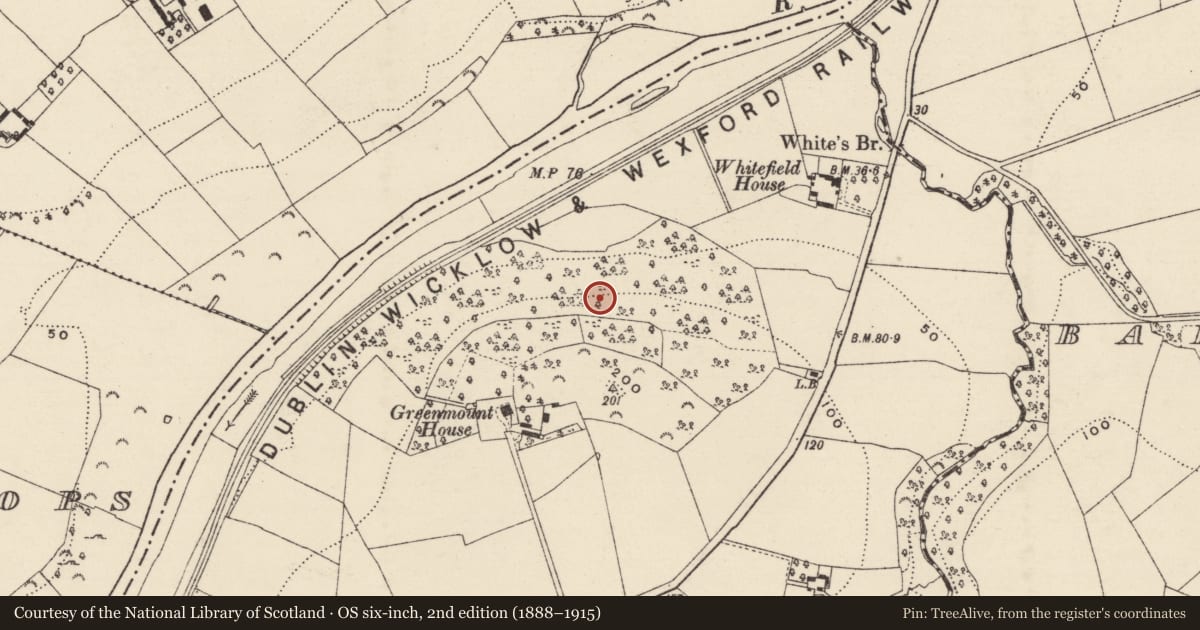 Ordnance Survey six-inch map, 2nd edition (1888–1915) covering the location of Enclosure, Clonhasten, County Wexford, with a pin at the register's coordinates