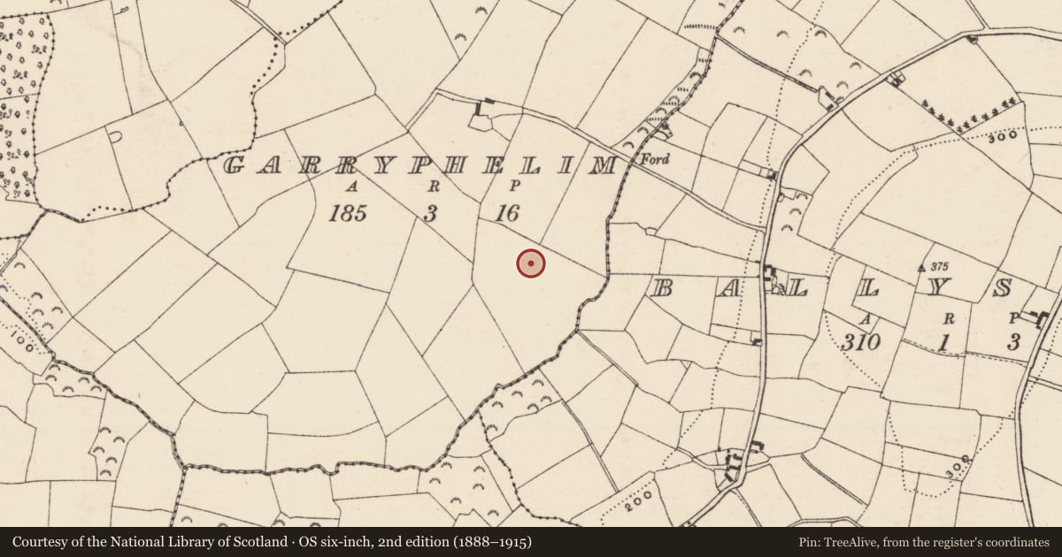 Ordnance Survey six-inch map, 2nd edition (1888–1915) covering the location of Ringfort - unclassified, Garryphelim, County Wexford, with a pin at the register's coordinates