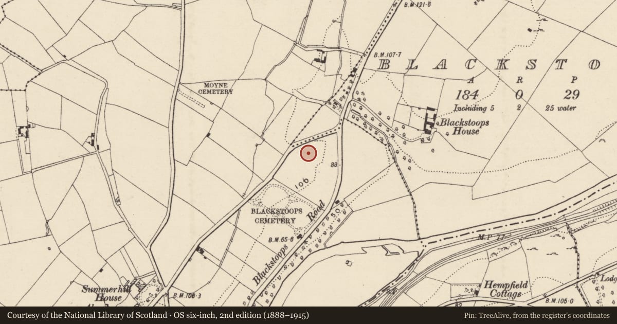 Ordnance Survey six-inch map, 2nd edition (1888–1915) covering the location of Cist, Enniscorthy, County Wexford, with a pin at the register's coordinates