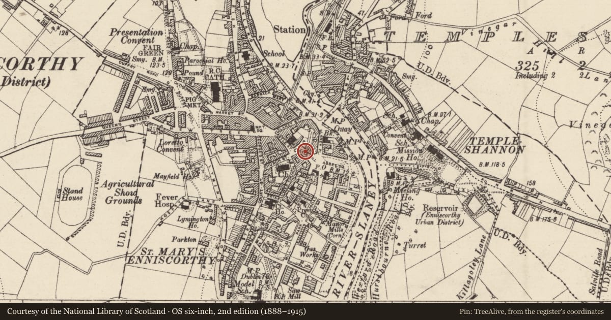 Ordnance Survey six-inch map, 2nd edition (1888–1915) covering the location of Historic town, Enniscorthy, Templeshannon, County Wexford, with a pin at the register's coordinates