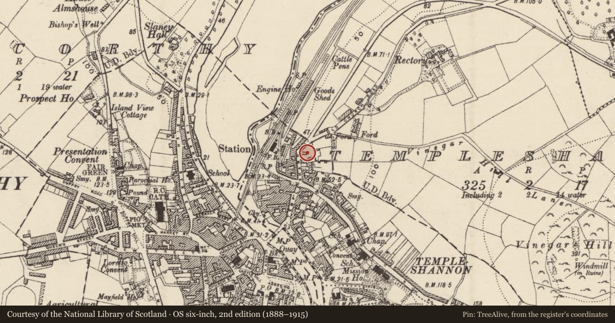 Ordnance Survey six-inch map, 2nd edition (1888–1915) covering the location of Church, Templeshannon, County Wexford, with a pin at the register's coordinates
