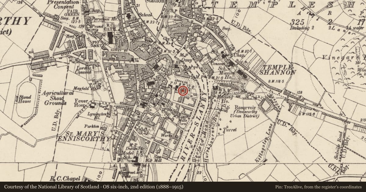 Ordnance Survey six-inch map, 2nd edition (1888–1915) covering the location of Religious house - Franciscan friars, Enniscorthy, County Wexford, with a pin at the register's coordinates