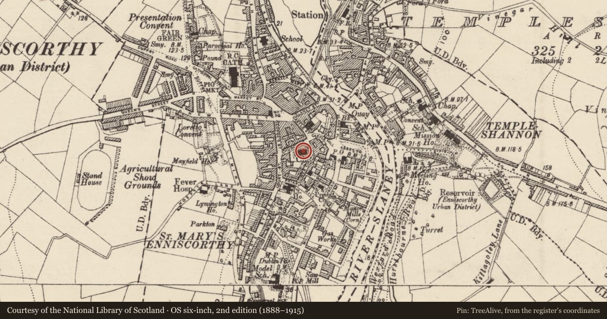Ordnance Survey six-inch map, 2nd edition (1888–1915) covering the location of Graveyard, Enniscorthy, County Wexford, with a pin at the register's coordinates
