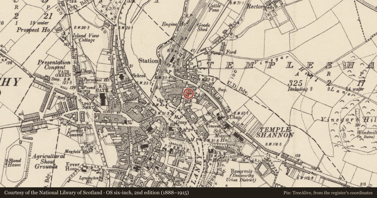 Ordnance Survey six-inch map, 2nd edition (1888–1915) covering the location of Well, Templeshannon, County Wexford, with a pin at the register's coordinates