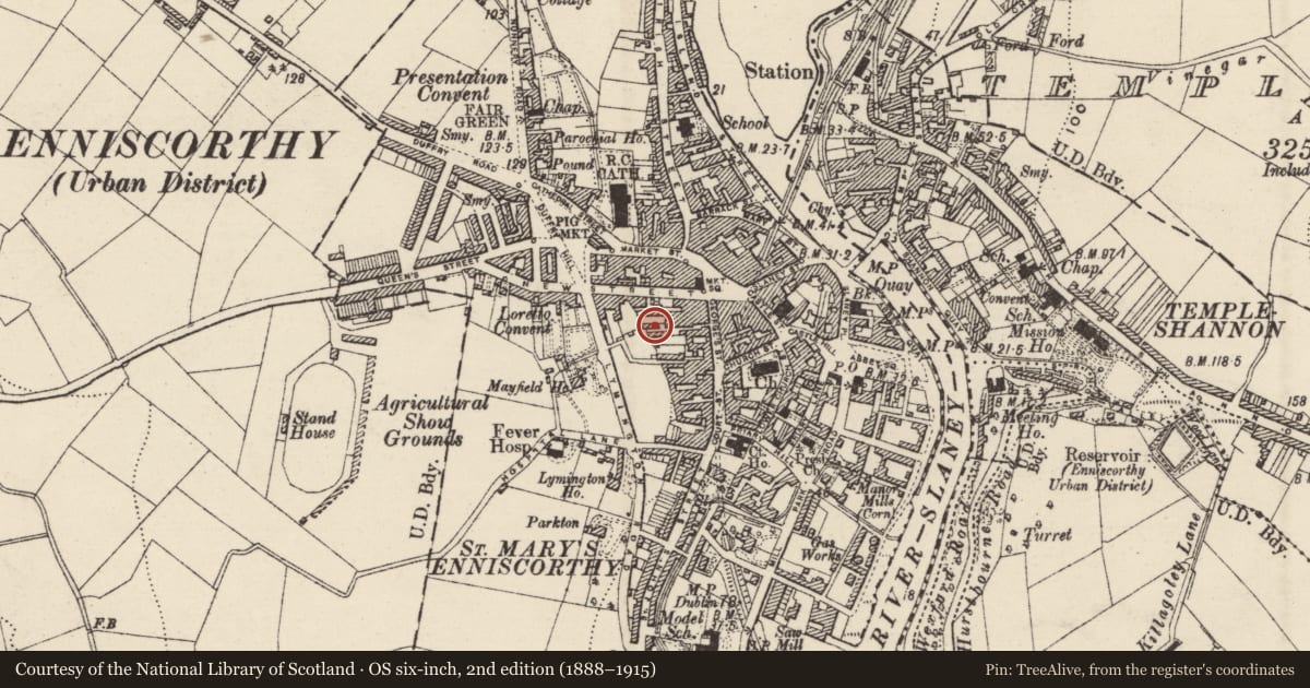Ordnance Survey six-inch map, 2nd edition (1888–1915) covering the location of Tannery, Enniscorthy, County Wexford, with a pin at the register's coordinates
