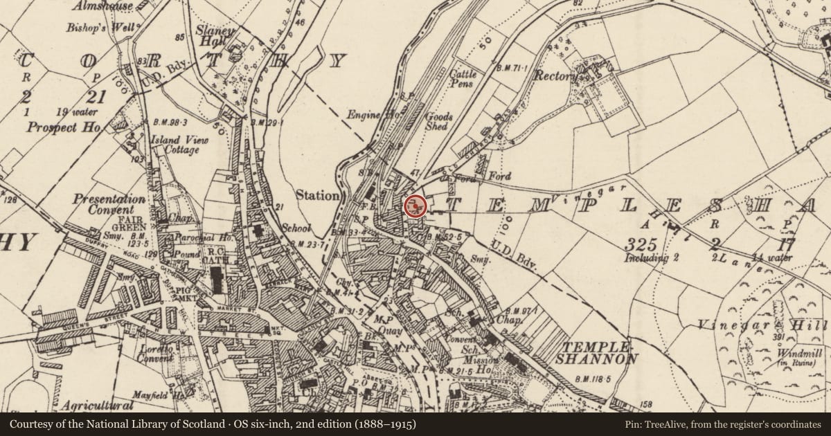 Ordnance Survey six-inch map, 2nd edition (1888–1915) covering the location of Graveyard, Templeshannon, County Wexford, with a pin at the register's coordinates