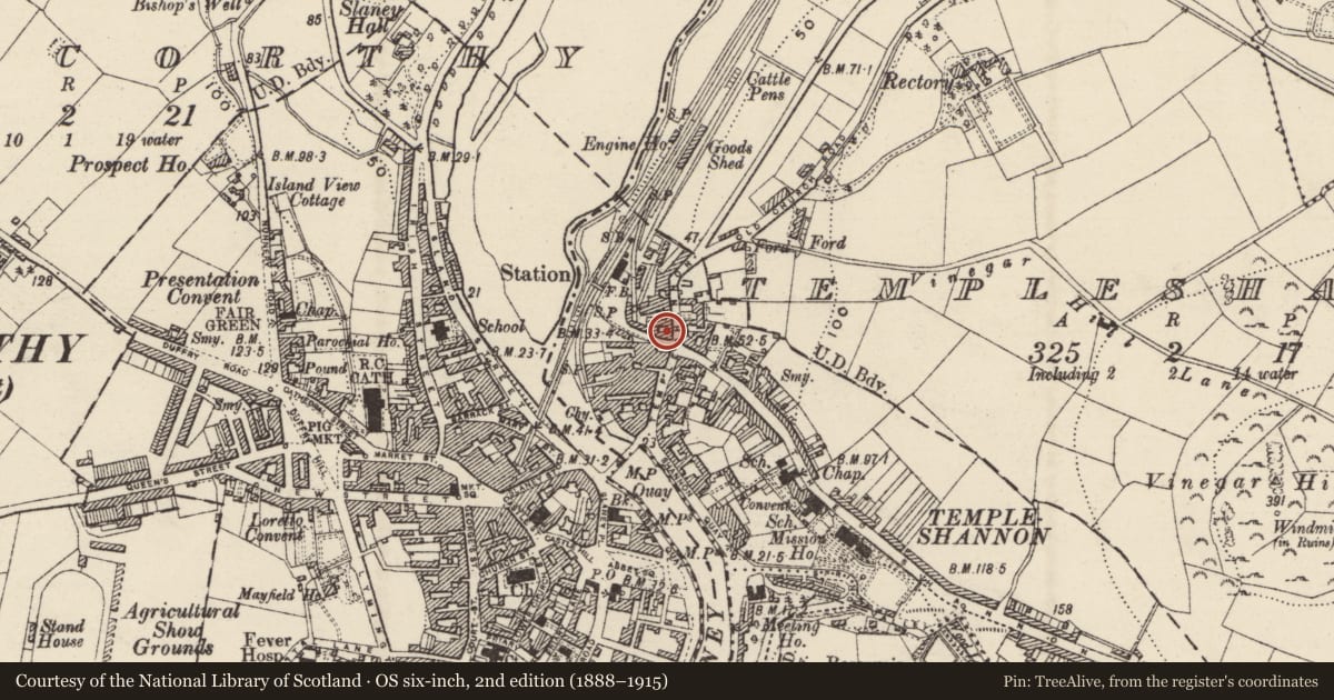 Ordnance Survey six-inch map, 2nd edition (1888–1915) covering the location of Tannery, Templeshannon, County Wexford, with a pin at the register's coordinates