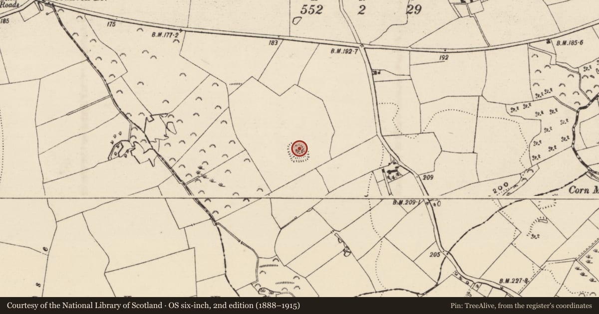 Ordnance Survey six-inch map, 2nd edition (1888–1915) covering the location of Moated site, Tomnafunshoge, County Wexford, with a pin at the register's coordinates