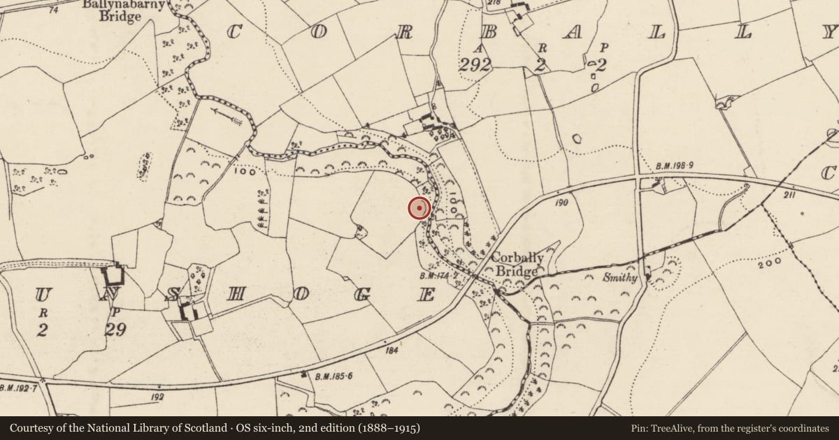 Ordnance Survey six-inch map, 2nd edition (1888–1915) covering the location of Enclosure, Tomnafunshoge, County Wexford, with a pin at the register's coordinates