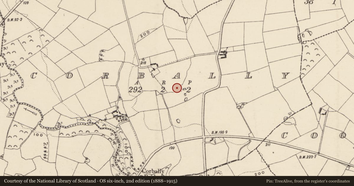 Ordnance Survey six-inch map, 2nd edition (1888–1915) covering the location of Moated site, Corbally, County Wexford, with a pin at the register's coordinates