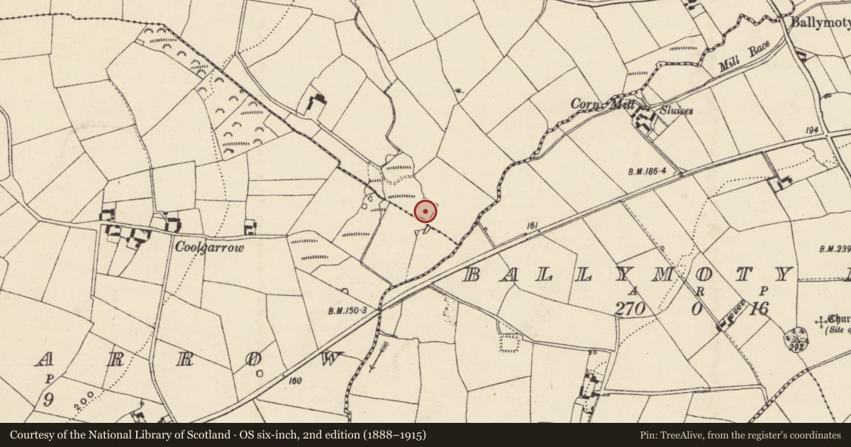 Ordnance Survey six-inch map, 2nd edition (1888–1915) covering the location of Moated site, Ballymoty Beg, County Wexford, with a pin at the register's coordinates