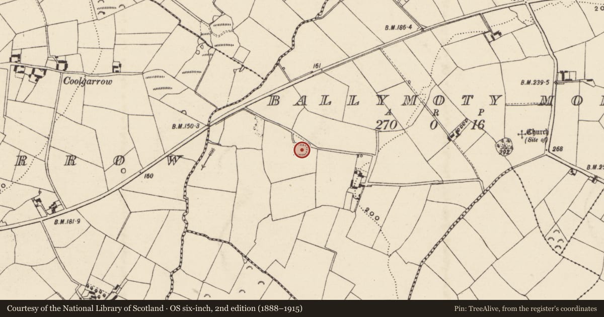 Ordnance Survey six-inch map, 2nd edition (1888–1915) covering the location of Moated site, Ballymoty More, County Wexford, with a pin at the register's coordinates