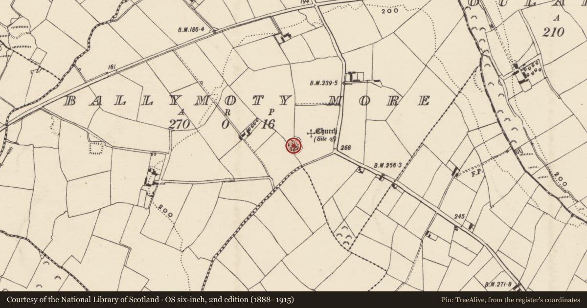 Ordnance Survey six-inch map, 2nd edition (1888–1915) covering the location of Castle - motte, Ballymoty More, County Wexford, with a pin at the register's coordinates
