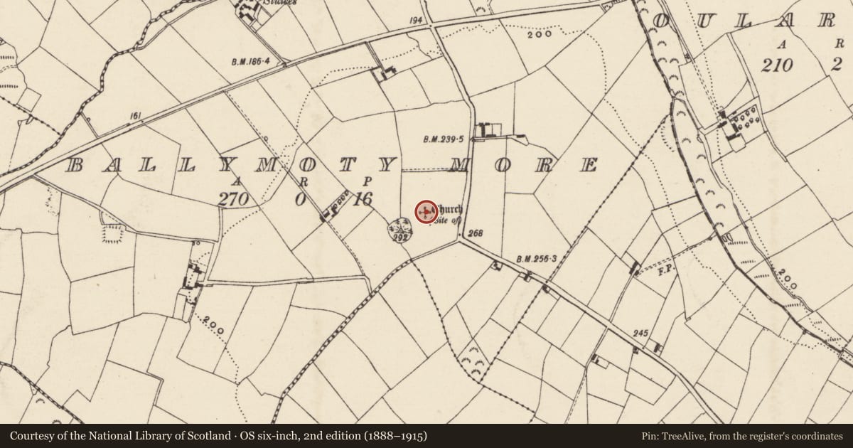 Ordnance Survey six-inch map, 2nd edition (1888–1915) covering the location of Church, Ballymoty More, County Wexford, with a pin at the register's coordinates