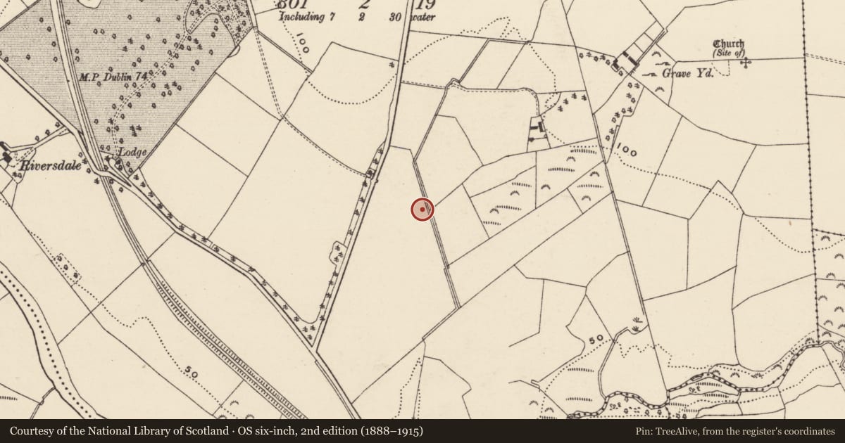 Ordnance Survey six-inch map, 2nd edition (1888–1915) covering the location of Burnt mound, Killabeg, County Wexford, with a pin at the register's coordinates