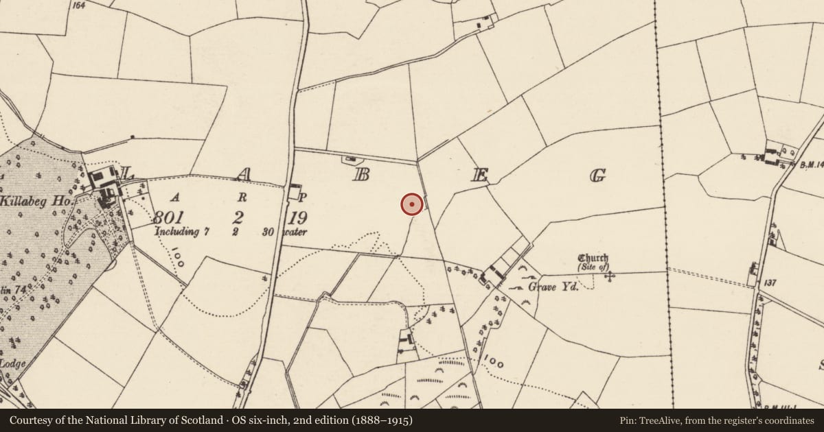 Ordnance Survey six-inch map, 2nd edition (1888–1915) covering the location of Burnt mound, Killabeg, County Wexford, with a pin at the register's coordinates