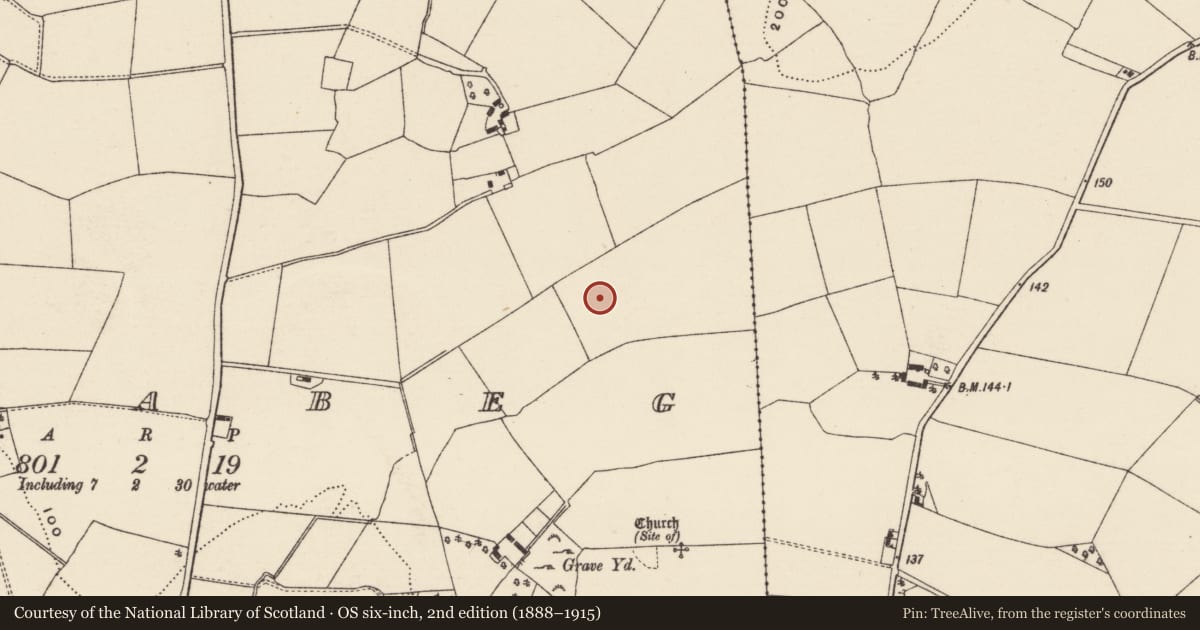 Ordnance Survey six-inch map, 2nd edition (1888–1915) covering the location of Burnt mound, Killabeg, County Wexford, with a pin at the register's coordinates
